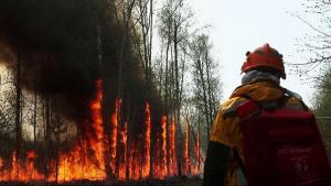 Photo of Ученые заявили об опасности дыма лесных пожаров во время пандемии коронавируса