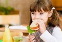 Photo of Каждый третий – с ожирением: диетолог рассказала, чем кормить школьников